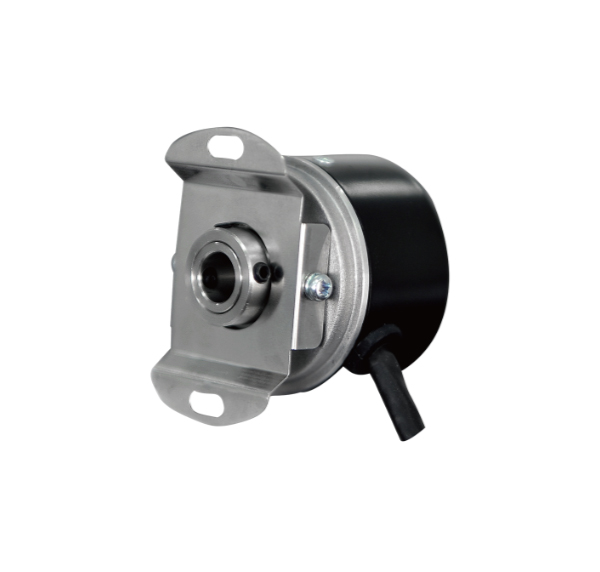 ����ʽ������